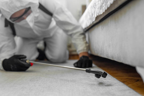 Professional Bed Bug Control technician working in South Palm Beach, FL