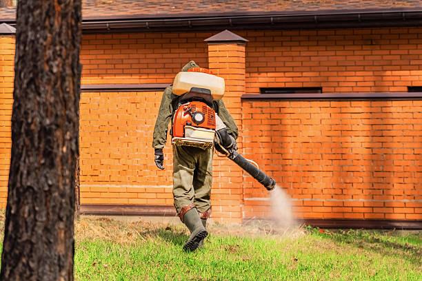 Trusted Termite Control service in South Palm Beach, FL - Nex Pest Control